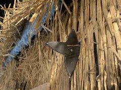 あささんの忍者体験カフェ浅草への投稿写真1