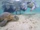 かなさんのOkinawa tripsへの投稿写真3