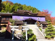 こぼらさんの都久夫須麻神社本殿の投稿写真1