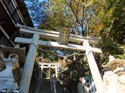 こぼらさんの都久夫須麻神社本殿の投稿写真2