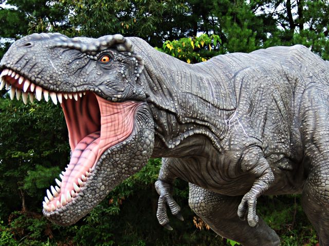 リニューアルオープン6_福井県立恐竜博物館