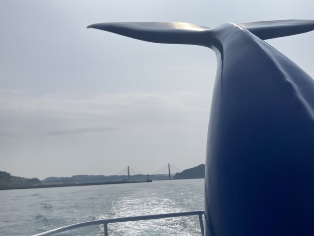 ジーラ(海中展望船)