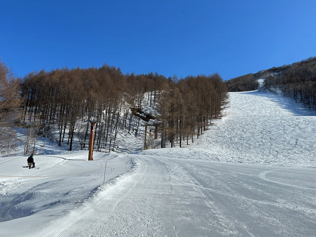ゲレンデ_会津高原たかつえスキー場