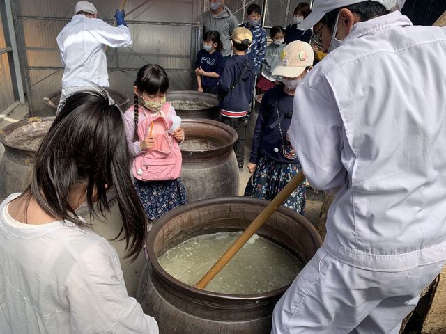 仕込みの様子。興味津々。_酢づくり300年 庄分酢