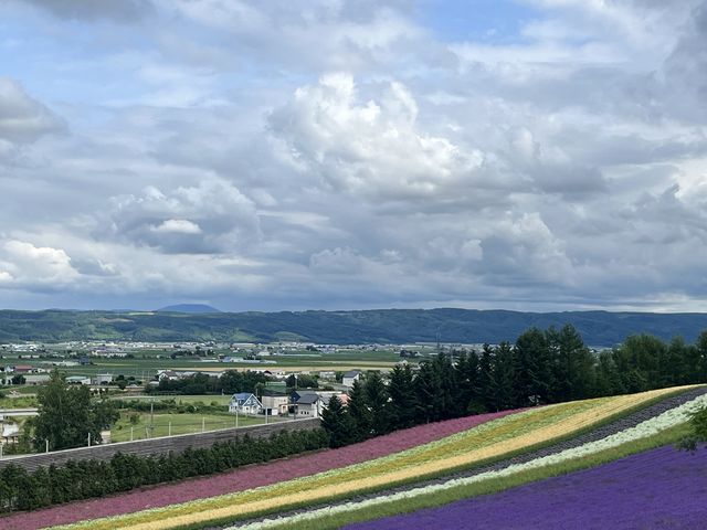 ファーム富田はラベンダーの満開時期で、とても綺麗でした。_札幌通運クラブゲッツ
