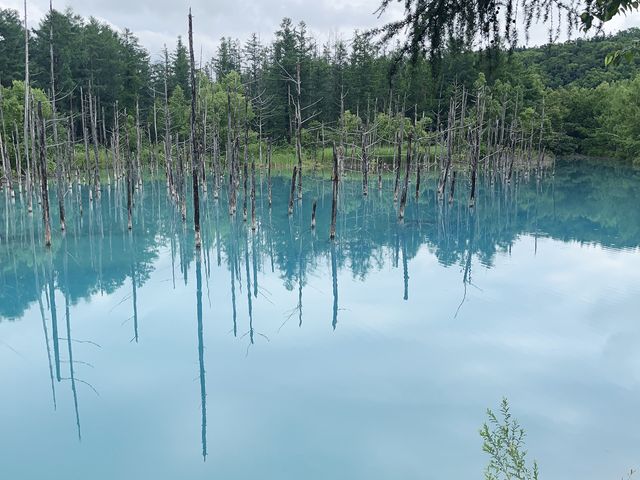 青い池は、写真映えもして良かったです。_札幌通運クラブゲッツ