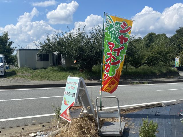 現地_宿沢フルーツ農園