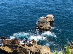 ラグーンガイドツアーズの写真4