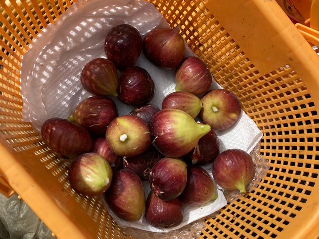 本当に遠慮なく40以上持ち帰りましたw
私たちの時は150円換算。_株式会社マイファーム 福岡