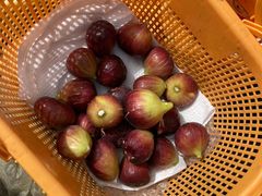 株式会社マイファーム 福岡の写真2