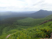 マイBOOさんの雌阿寒オンネトー自然休養林の投稿写真1