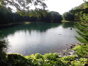 マイBOOさんの雄阿寒岳山麓の原始林の投稿写真1