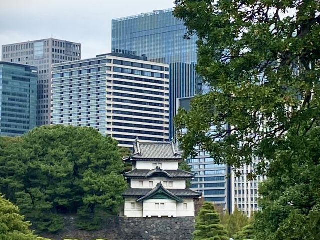 富士見櫓と高層ビル_皇居一般参観