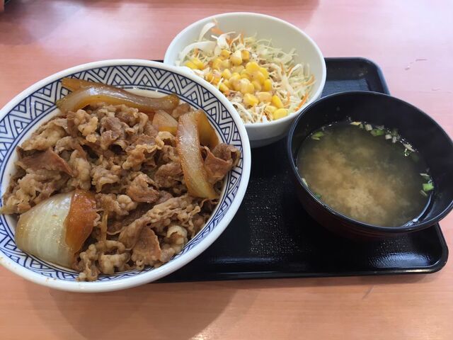 しょっぱい_吉野家246号線秦野店