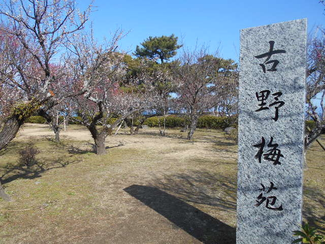 トシローさんの島原城 古野梅園の投稿写真1