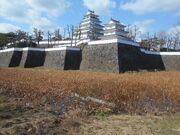 トシローさんの島原城堀の蓮の投稿写真1