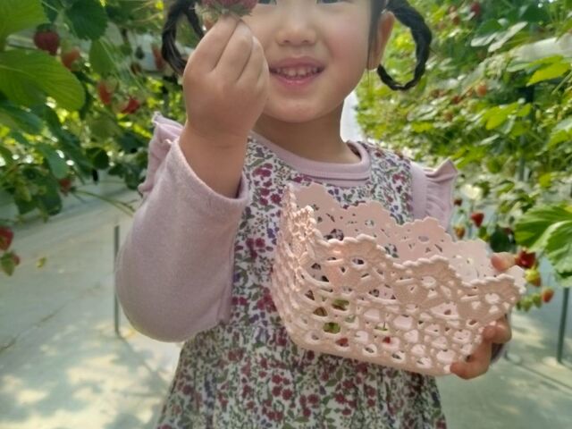 美味しいそうにたべる孫娘_大和苺ジョイフルパーク