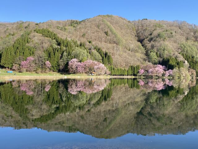 対岸からパシャリ_仁科三湖