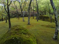 箱根美術館の写真1