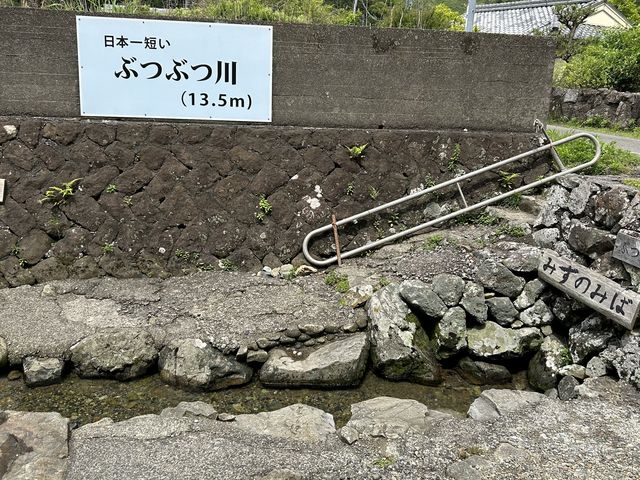 ほんと短く綺麗な水。_ぶつぶつ川