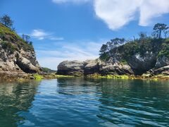 koiさんのレアレアリゾートヴィラ鴨池への投稿写真1