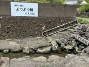 まさくんさんのぶつぶつ川の投稿写真2