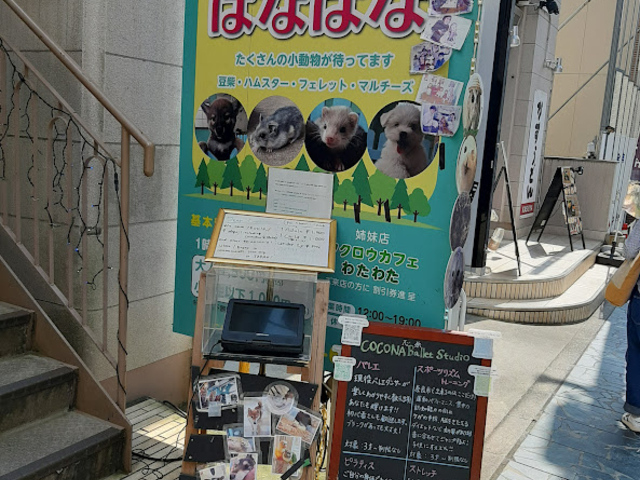 お店は2階です。_小動物カフェ はなはな