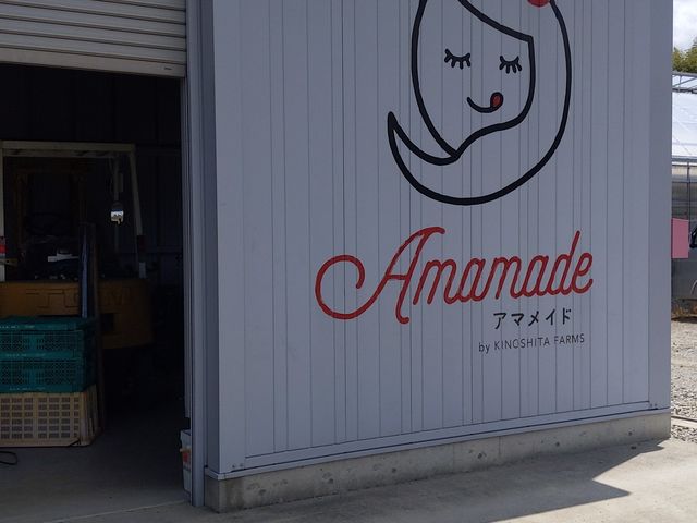 受付_キノシタファーム