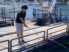 tonyさんの海上釣り堀太公望への投稿写真1