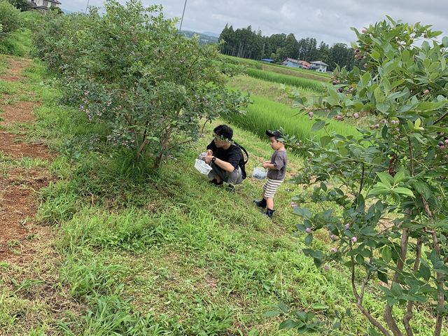 農園は田んぼのど真ん中、すぐ近くにアウトレットなどがあります。_森の風農園