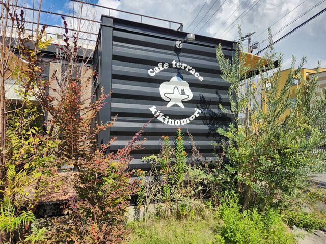 Cafe terrace kikinomori カフェテラス キキノモリ