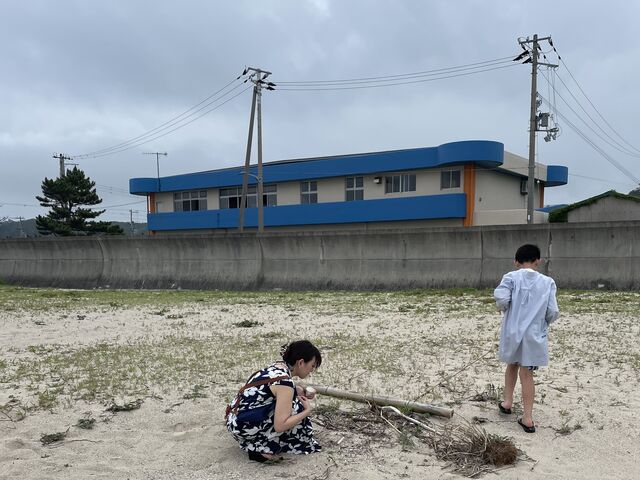 レジンアートに使う貝殻拾い_イザナギSUP