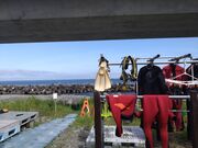 yasusuさんのダイブショップラグナの投稿写真1