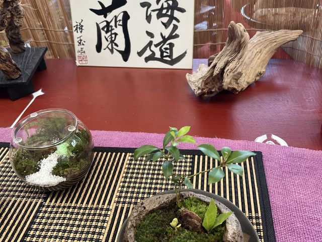 きちんとお世話して長持ちさせたいです_mossloulan楼蘭