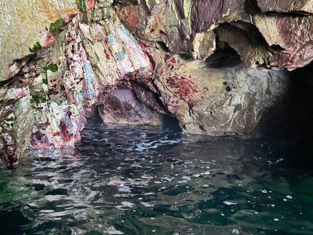太陽を背にすると少し怖い雰囲気かも_三陸シーカヤックスクール Sea-son