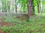 ユッキーさんのキウス周堤墓群の投稿写真2