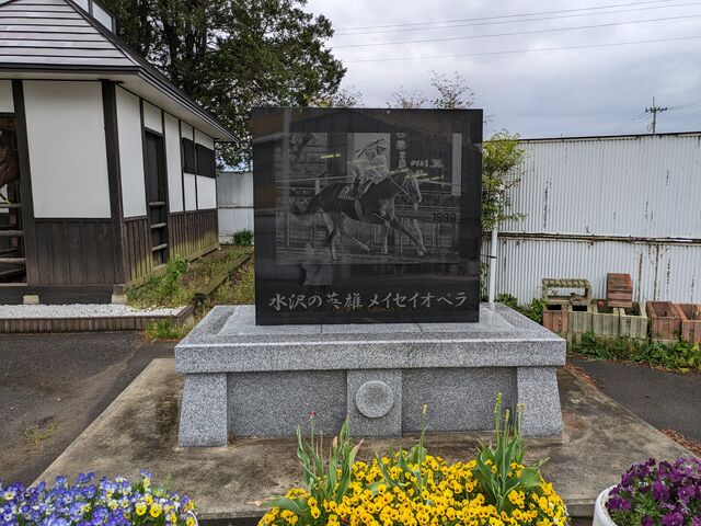 水沢競馬場B_水沢競馬場