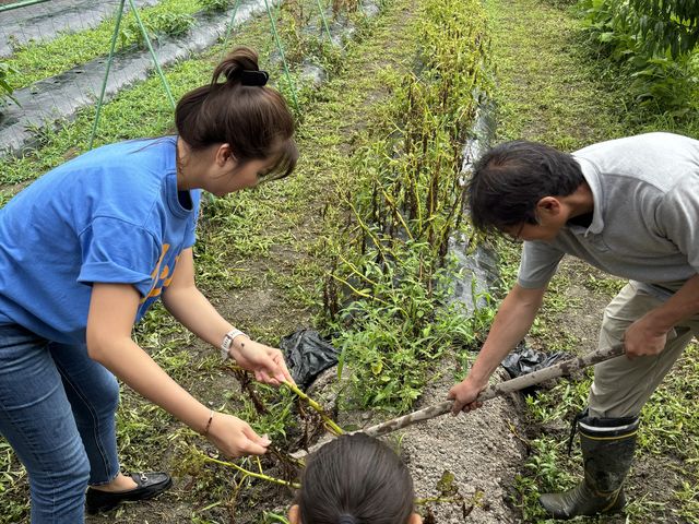野菜収穫の時の写真です!_さんだ農(みのり)の里