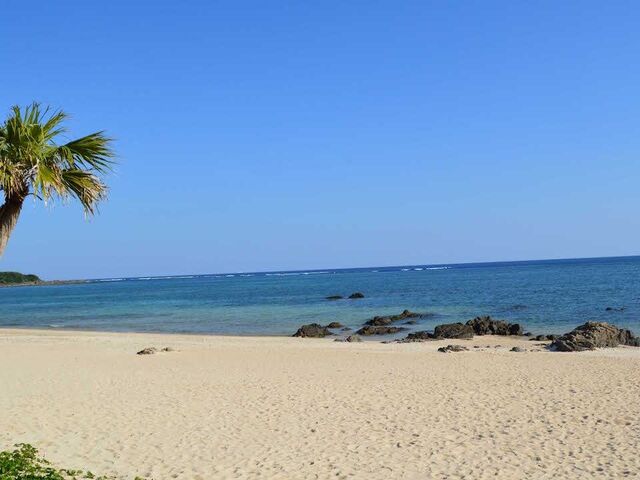 目の前の用安海岸_奄美ラッキー海の家