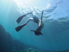 りんさんのぷくぷく 宮古島への投稿写真1