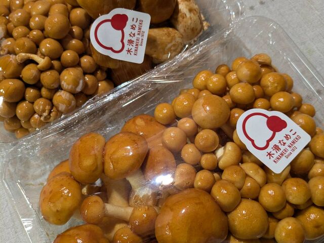 収穫体験で頂いた絶品なめこ_木滑なめこ工場
