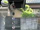 れいままさんのハンドメイド雑貨と体験教室の店KIRARIへの投稿写真2