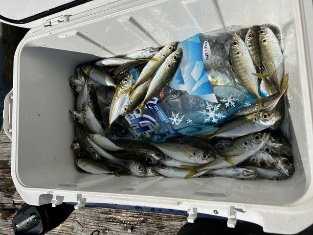 釣りの途中の写真です。
このあとクーラーがパンパンになりました。_有岡渡船