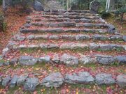 サクラサクさんの浄住寺の紅葉の投稿写真2