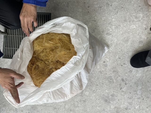 天然てんぐさ_こだわりの土産物豊田商店