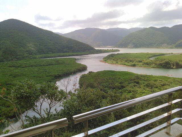 マングローブ_道の駅 奄美大島住用