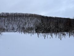 青い池の写真1