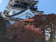 ゆっきーさんの岡崎公園の紅葉の投稿写真3