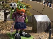 スターさんの藤枝総合運動公園の投稿写真1