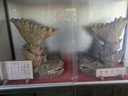 ゆっきーさんの旭城の投稿写真3
